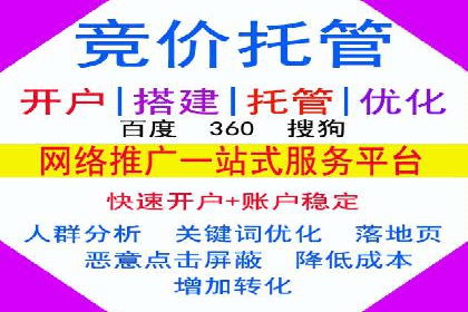 SEM代理操作技巧：成功案例揭秘